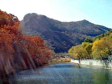 新澳天天开奖资料大全旅游团，氟化钙污泥处理